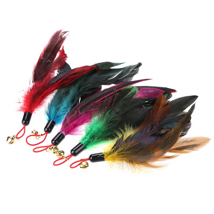 🐾 5-Pack Cat Teaser Wand Replacement Feather Toys