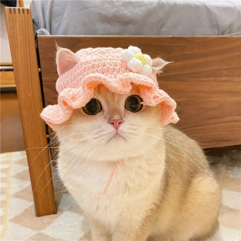 🎩 Knitted Pet Hat – Cute Elastic Beanie for Cats &amp; Small Dogs - Ditzy Petunia