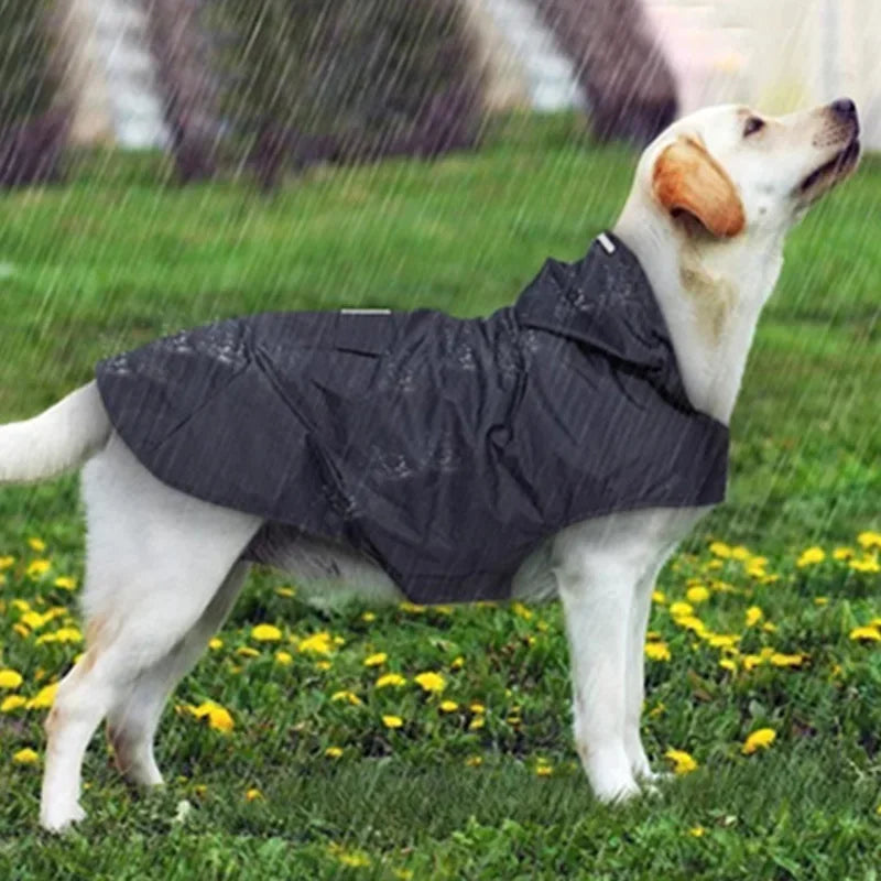Waterproof Dog Raincoat with Hood | Reflective Pet Rain Poncho for Small &amp; Large Dogs | Raincoat for Chihuahua, Husky &amp; More - Ditzy Petunia