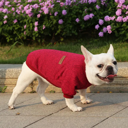 🐶 Cozy Autumn Dog Sweatshirt – Warm Pet Jacket for Small & Medium Dogs