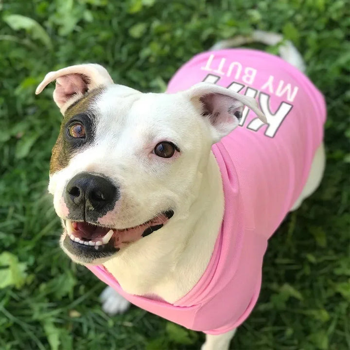 Velvet Warm Dog Sweaters – Hoodies for Large, Medium, and Small Dogs - Ditzy Petunia