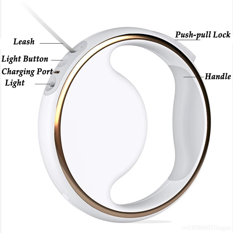 LED Retractable Dog Leash with Built-In Waste Bag Holder – 3M Nylon Lead for Small & Medium Dogs - Ditzy Petunia