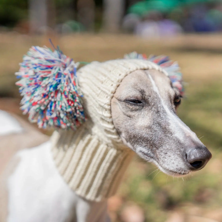 Winter Italian Greyhound Whippet Hat with Fur Ball | Elastic Wool Pet Hat for Puppies &amp; Big Dogs Ditzy Petunia