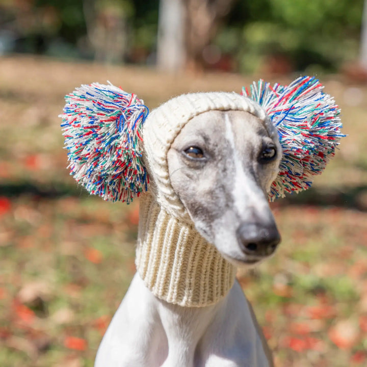 Winter Italian Greyhound Whippet Hat with Fur Ball | Elastic Wool Pet Hat for Puppies &amp; Big Dogs Ditzy Petunia