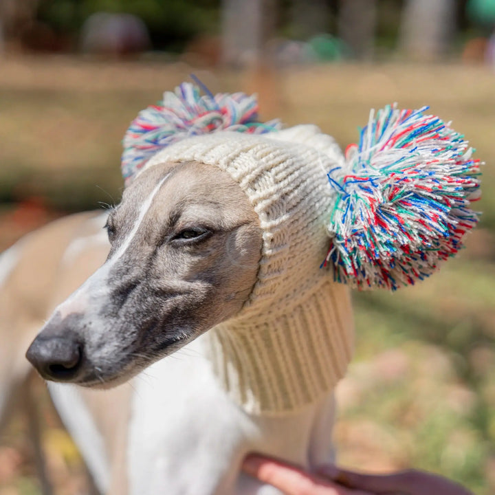 Winter Italian Greyhound Whippet Hat with Fur Ball | Elastic Wool Pet Hat for Puppies &amp; Big Dogs Ditzy Petunia