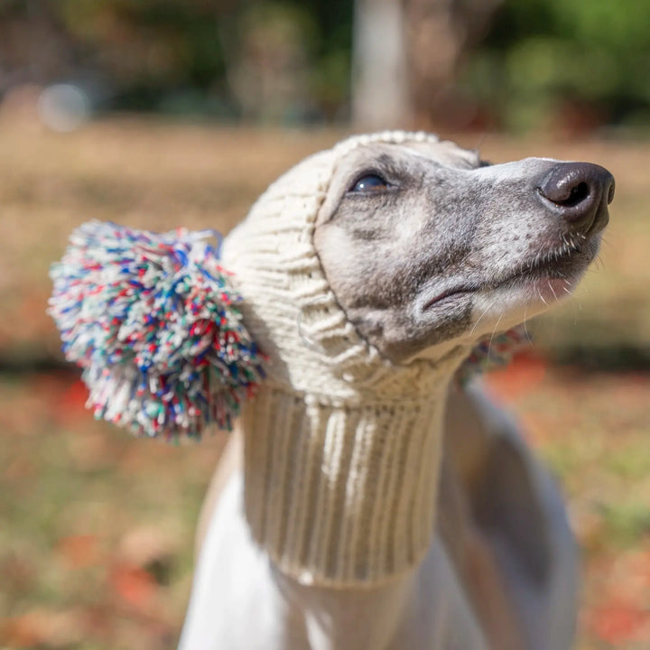 Winter Italian Greyhound Whippet Hat with Fur Ball | Elastic Wool Pet Hat for Puppies &amp; Big Dogs Ditzy Petunia