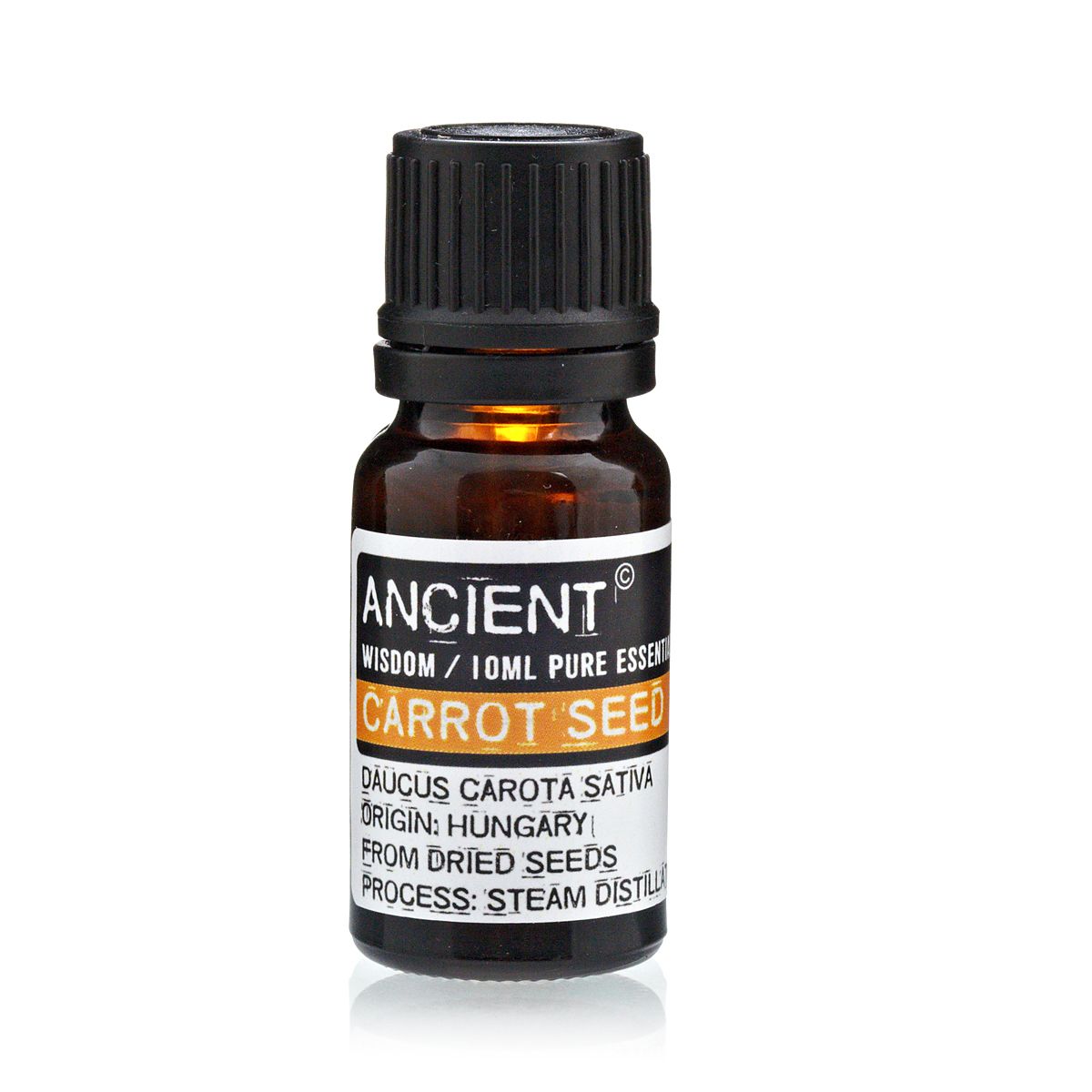 10 ml Carrot Seed Essential Oil - Ditzy Petunia