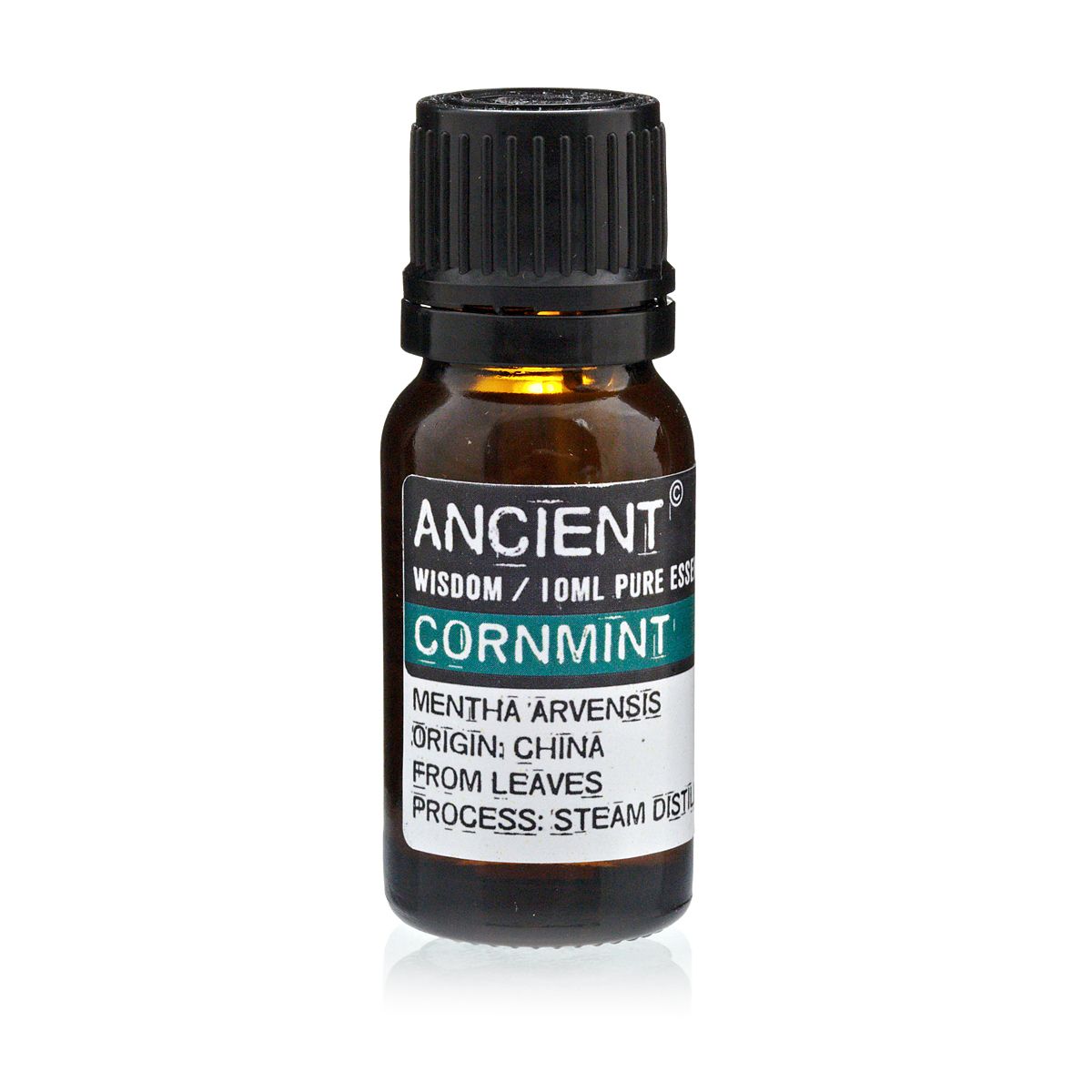10 ml Cornmint - Ditzy Petunia