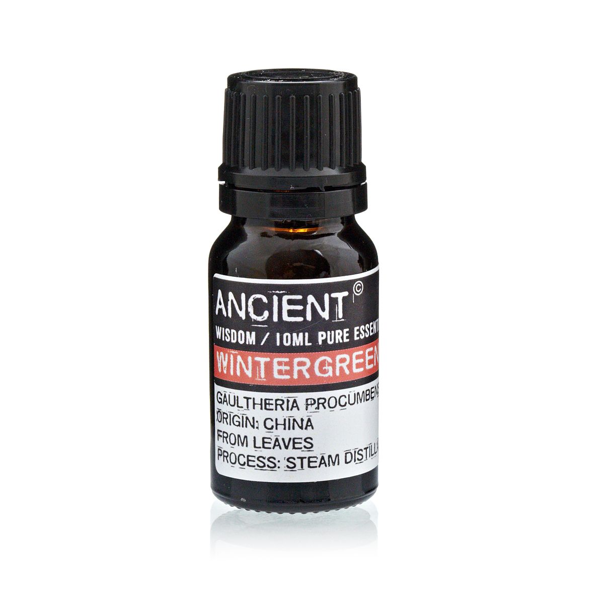 Wintergreen Essential Oil 10ml - Ditzy Petunia
