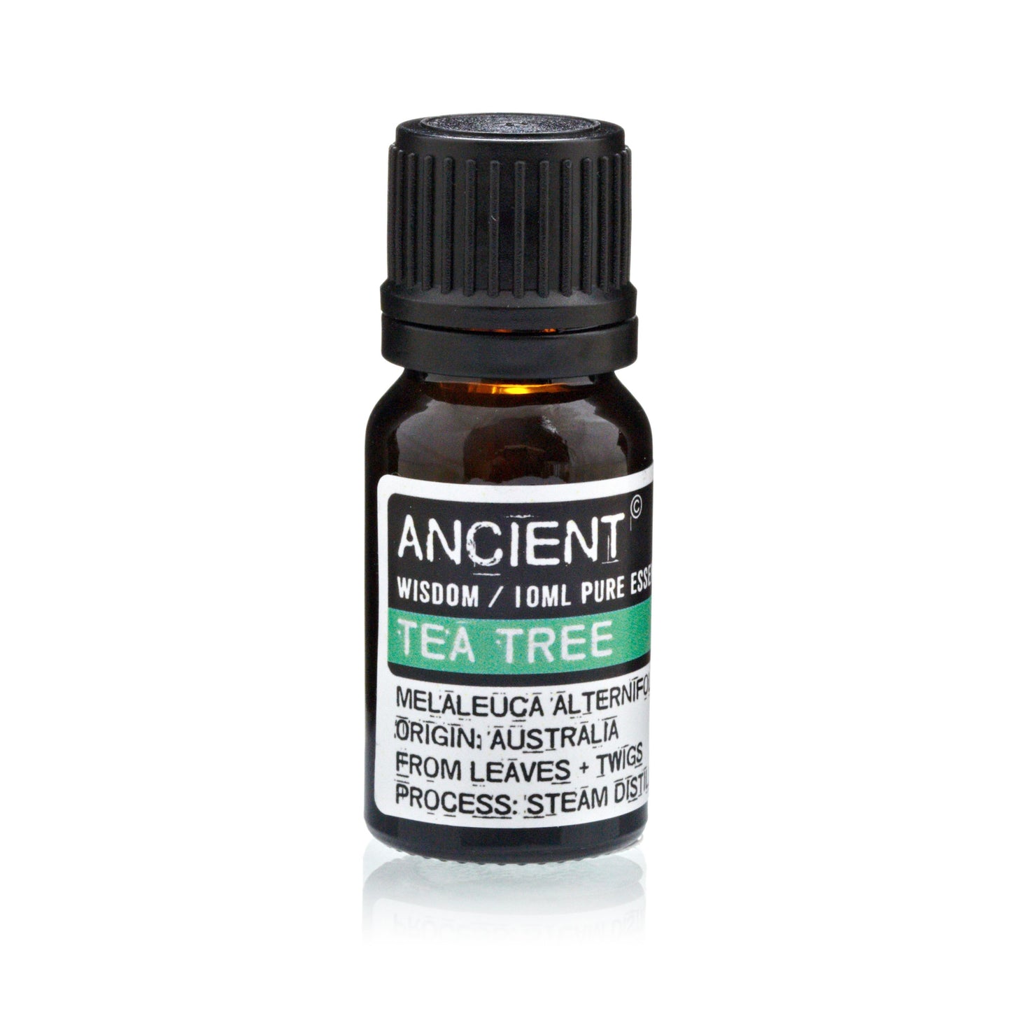 Set of Lavender, Tea Tree & Rosemary Essential Oils - 10ml Each