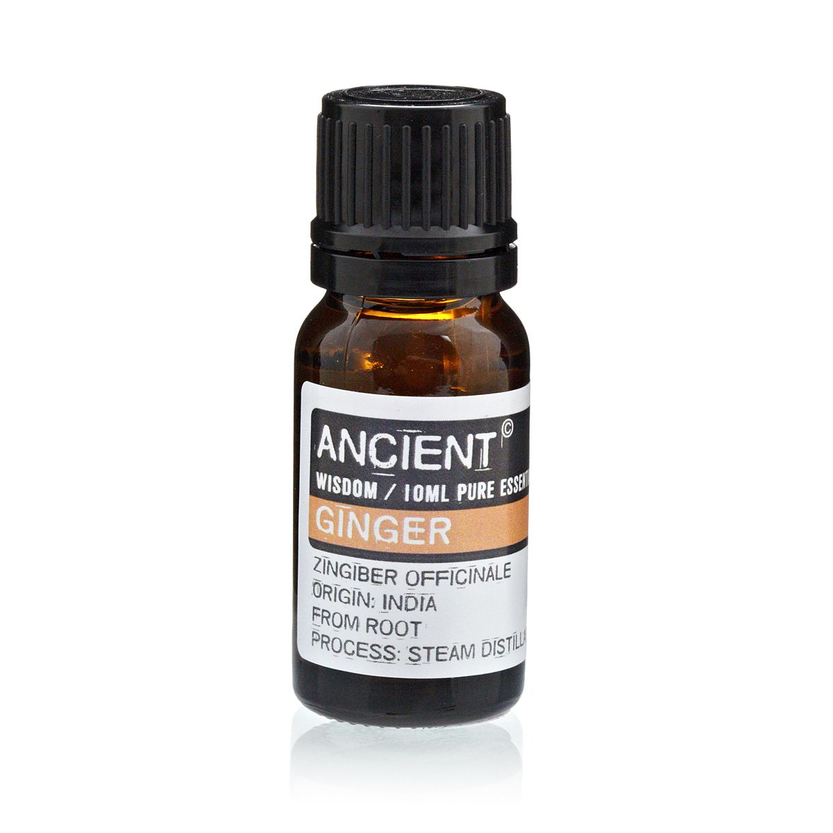 10 ml Ginger Essential Oil - Ditzy Petunia