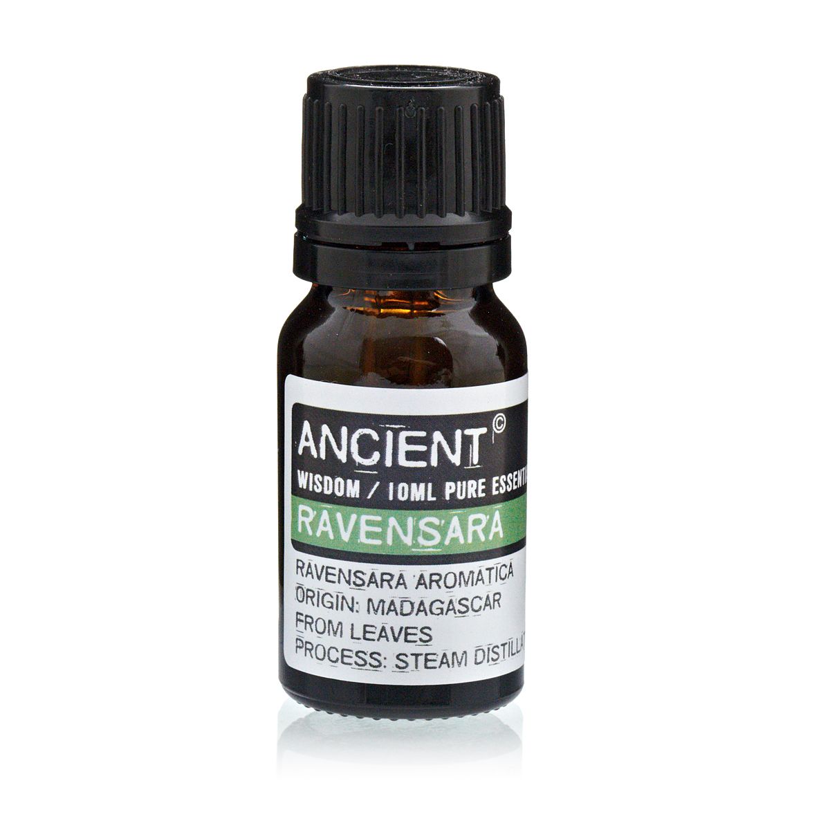 10 ml Ravensara Essential Oil - Ditzy Petunia