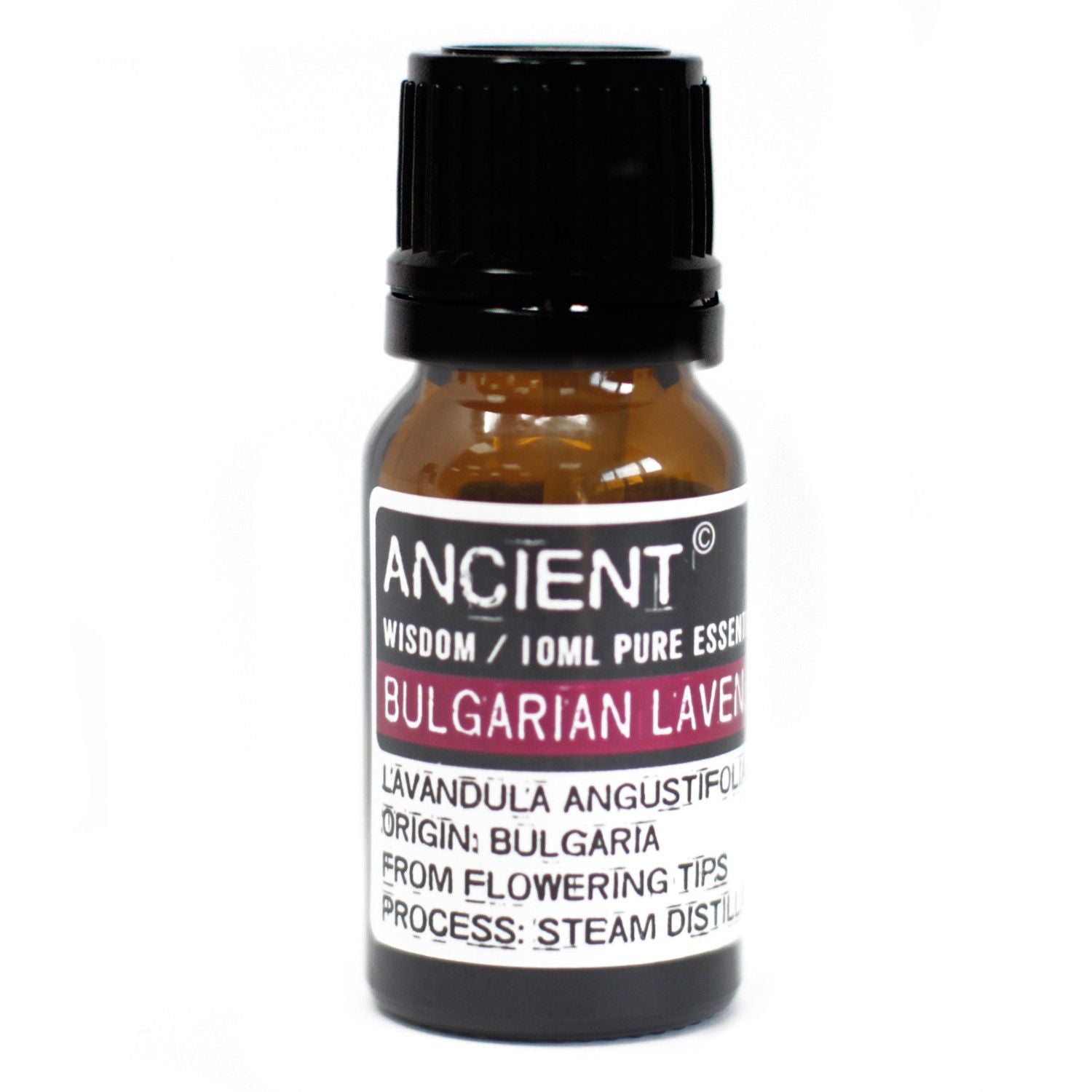 Bulgarian Lavender Essential Oil 10ml - Ditzy Petunia