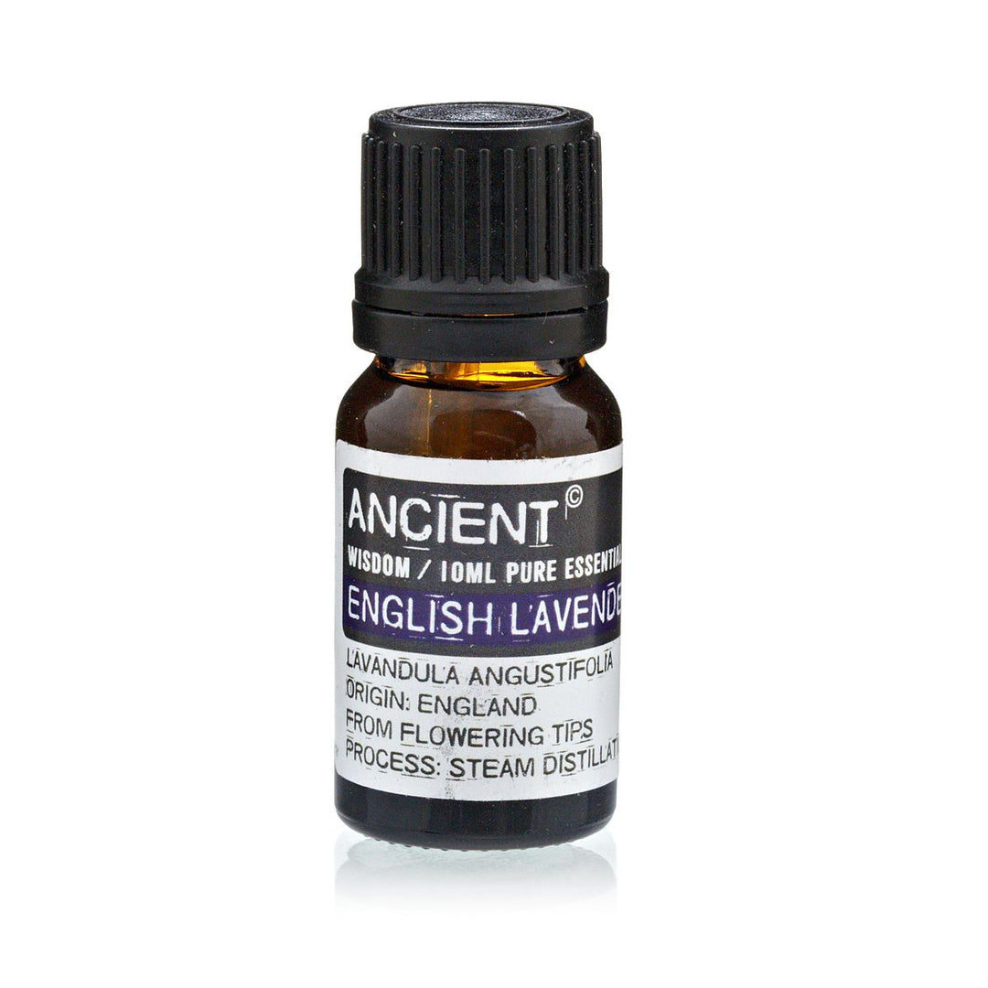 English Lavender Essential Oil 10ml - Ditzy Petunia