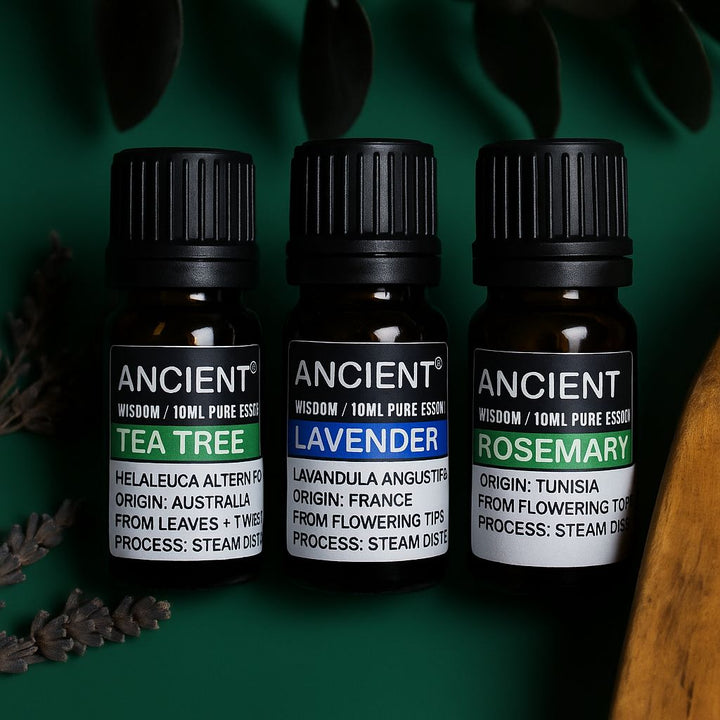Set of Lavender, Tea Tree &amp; Rosemary Essential Oils - 10ml Each