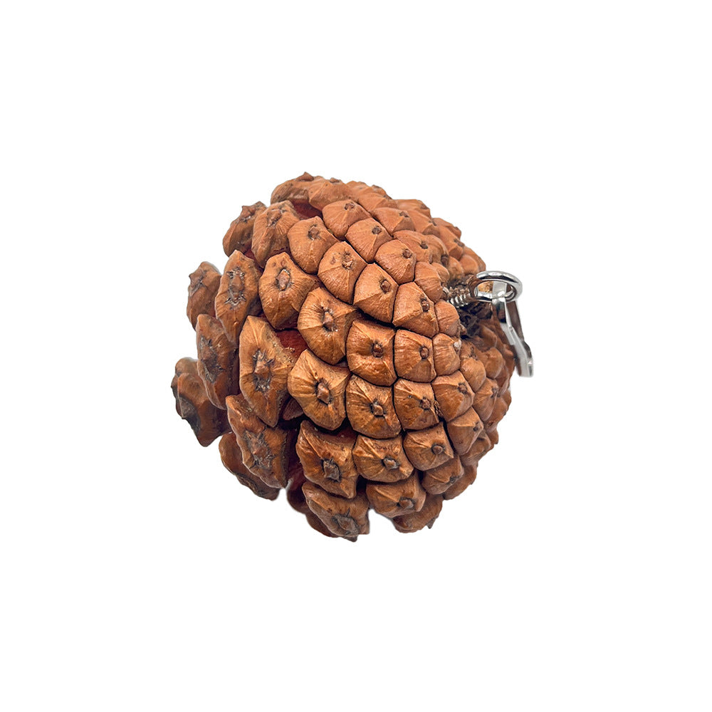 b09a5e759c1ad525d73db4e07cc6bb43